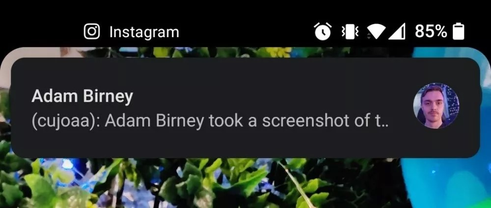 somebody takes a screenshot